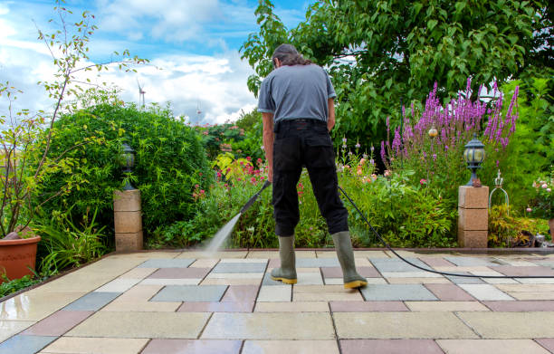 Best Animal Enclosure Cleaning  in Crouch Mesa, NM